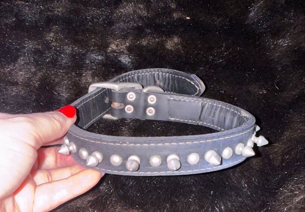 Dog Collar Leather with Studs 1” x 20” for Large Dog or grunge emo fetish
